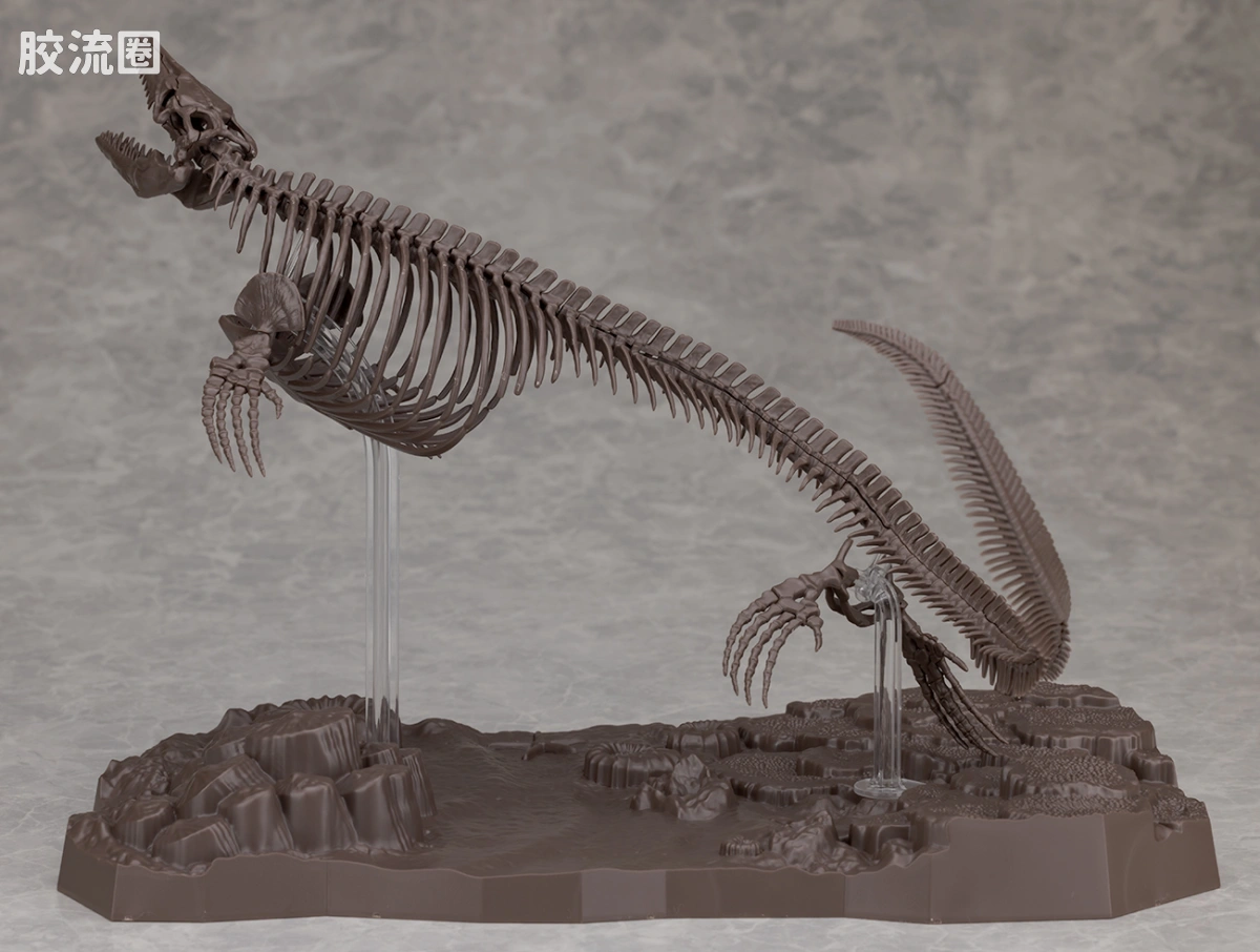 万代综合拼装模型系列 Imaginary Skeleton系列 沧龙 - 图片